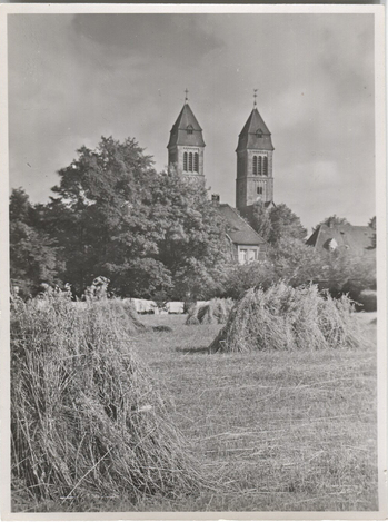 Fotograf: Hickstein, Carmen, Copyright: 1