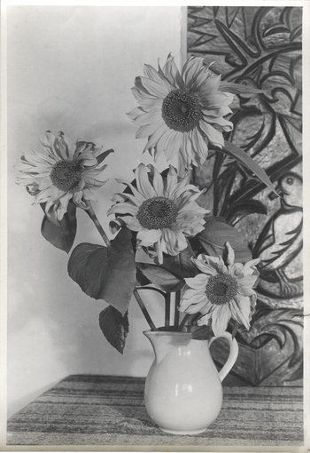 Fotograf: Hickstein, Carmen, Copyright: 1