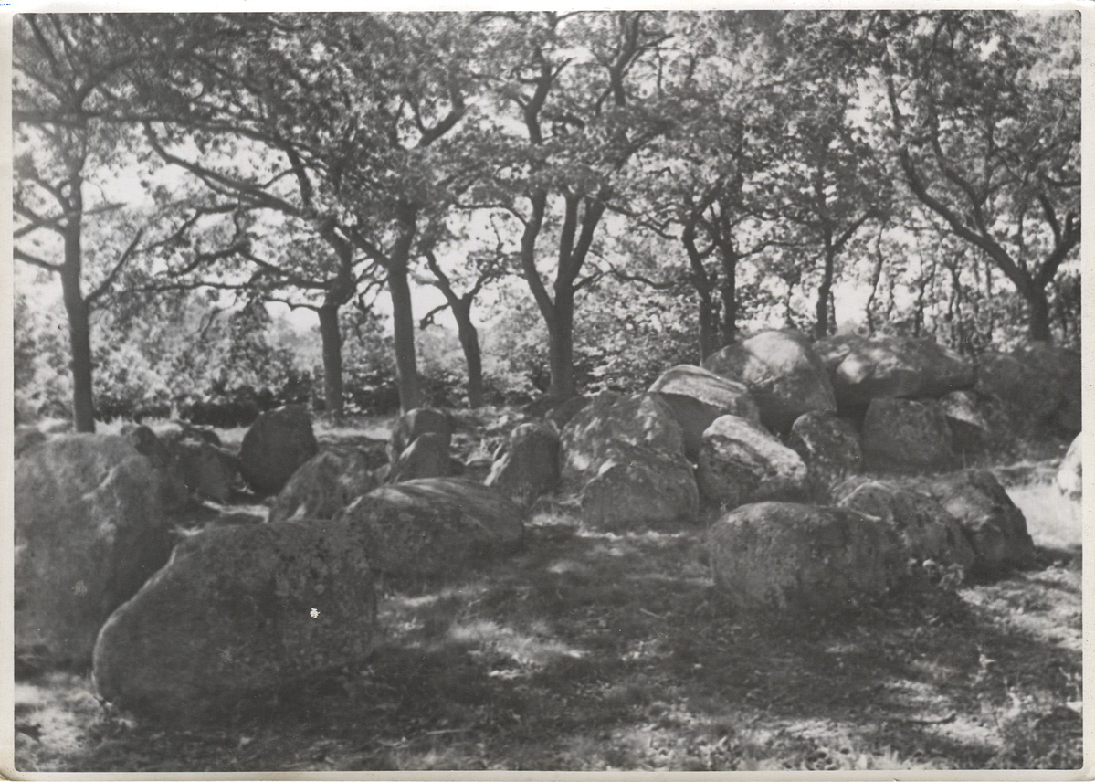 Fotograf: Hickstein, Carmen, Copyright: 1