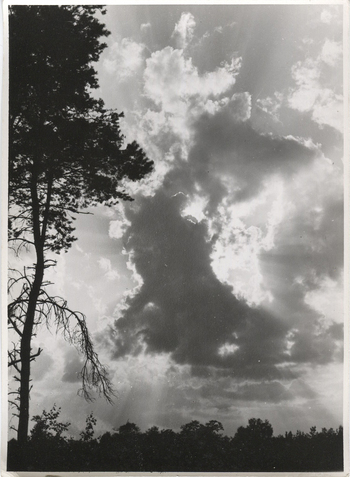 Fotograf: Hickstein, Carmen, Copyright: 1