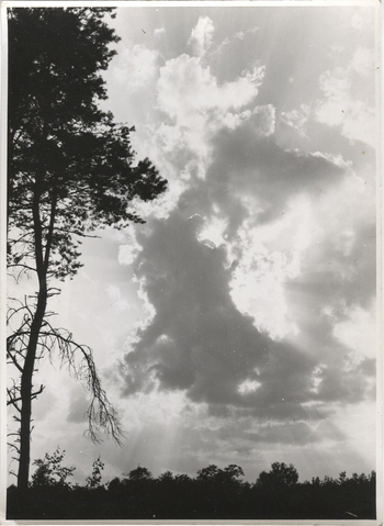 Fotograf: Hickstein, Carmen, Copyright: 1