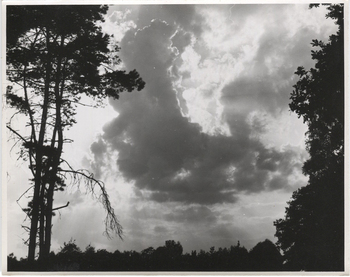 Fotograf: Hickstein, Carmen, Copyright: 1