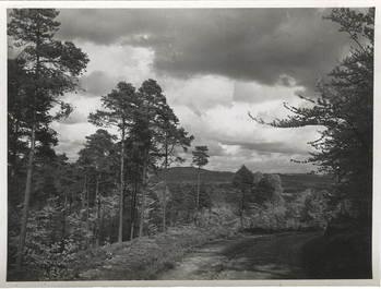 Photographer: Hickstein, Carmen, Copyright: 1