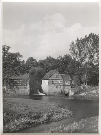 Fotograf: Hickstein, Carmen, Copyright: 1