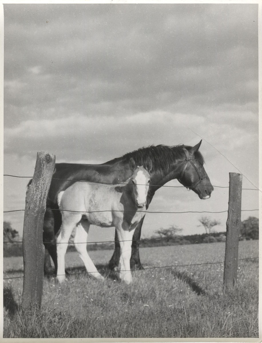 Fotograf: Hickstein, Carmen, Copyright: 1