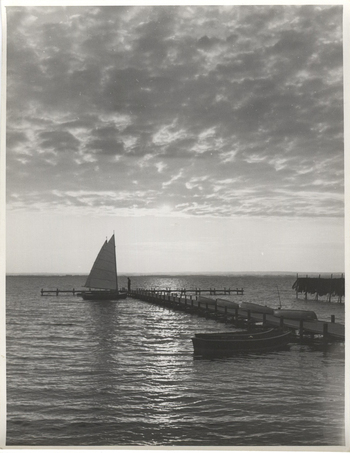 Photographer: Hickstein, Carmen, Copyright: 1