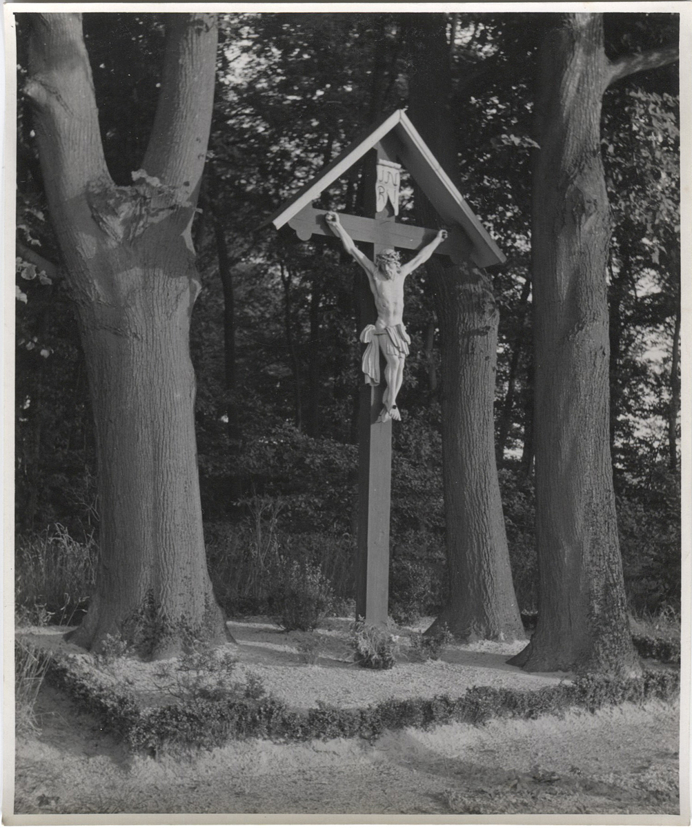 Fotograf: Hickstein, Carmen, Copyright: 1