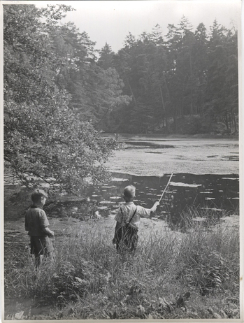 Fotograf: Hickstein, Carmen, Copyright: 1