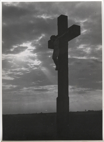 Fotograf: Hickstein, Carmen, Copyright: 1