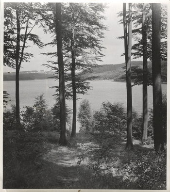 Fotograf: Hickstein, Carmen, Copyright: 1