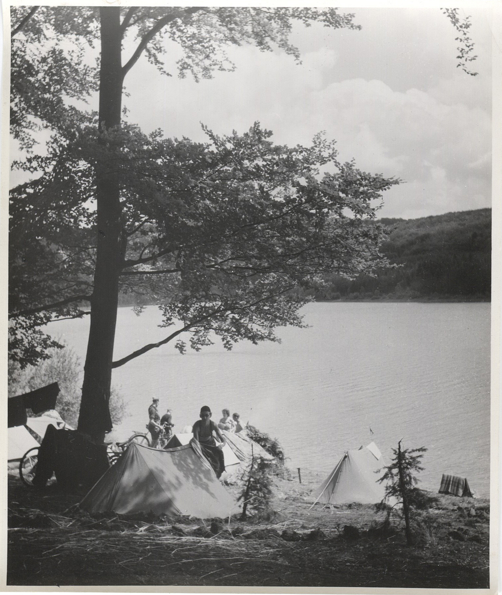 Fotograf: Hickstein, Carmen, Copyright: 1
