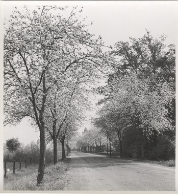 Fotograf: Hickstein, Carmen, Copyright: 1