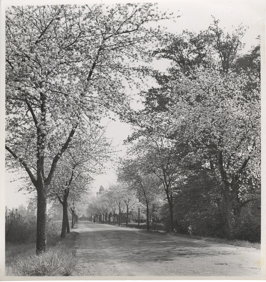 Fotograf: Hickstein, Carmen, Copyright: 1