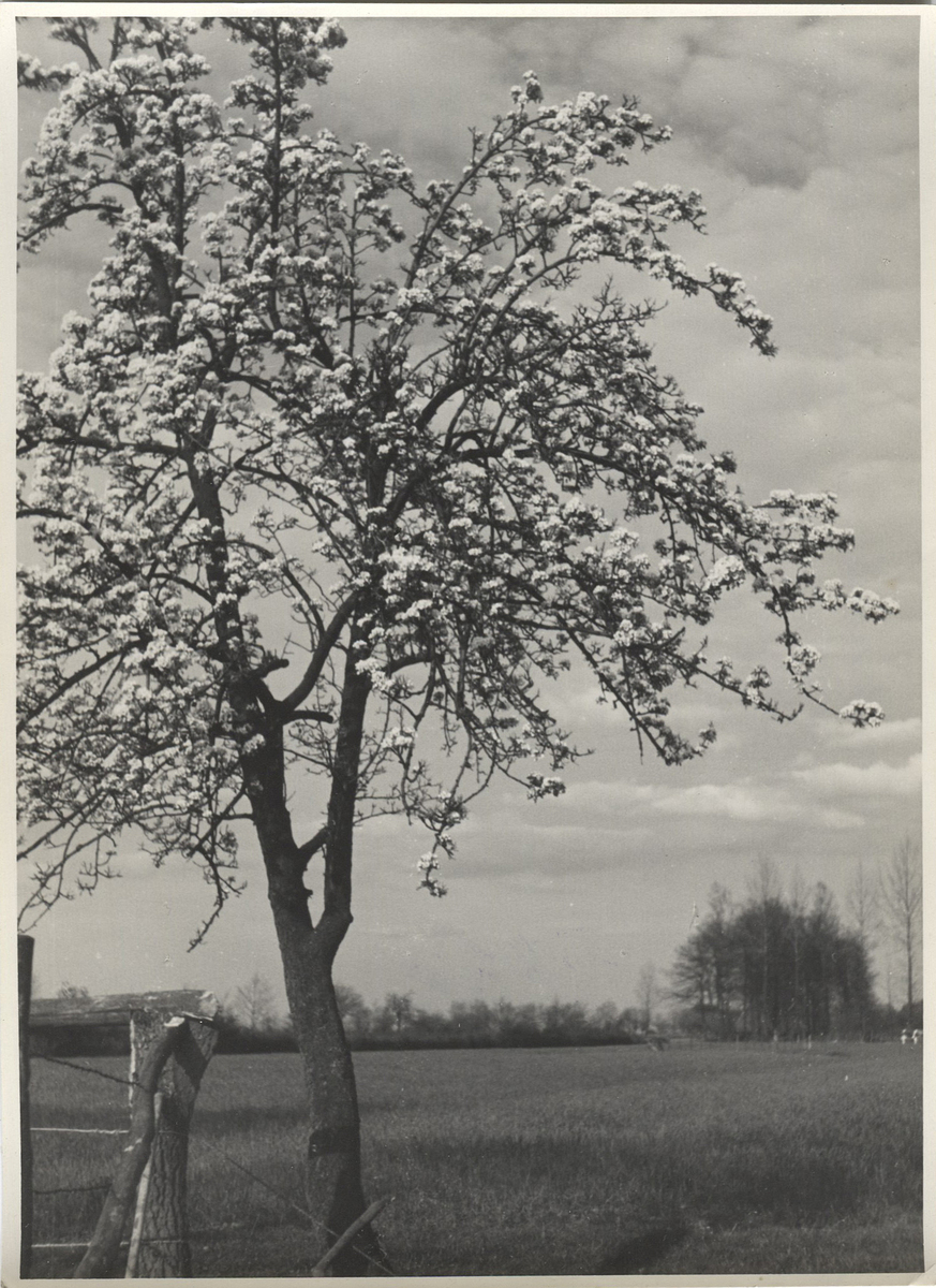 Fotograf: Hickstein, Carmen, Copyright: 1