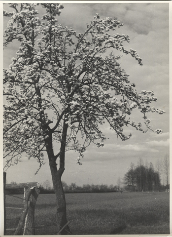 Photographer: Hickstein, Carmen, Copyright: 1