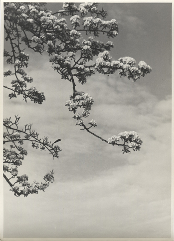 Fotograf: Hickstein, Carmen, Copyright: 1