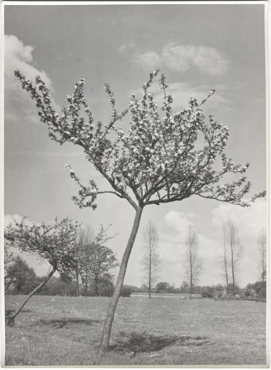 Fotograf: Hickstein, Carmen, Copyright: 1