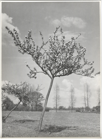 Fotograf: Hickstein, Carmen, Copyright: 1