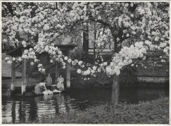 Fotograf: Hickstein, Carmen, Copyright: 1