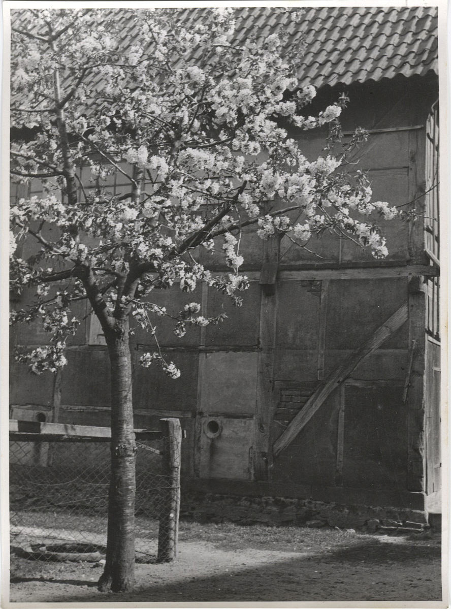 Fotograf: Hickstein, Carmen, Copyright: 1