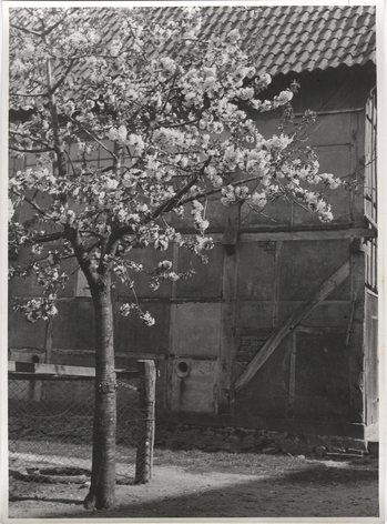 Fotograf: Hickstein, Carmen, Copyright: 1