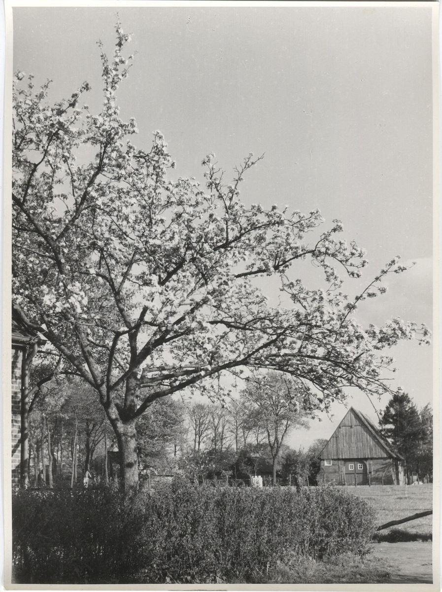 Fotograf: Hickstein, Carmen, Copyright: 1