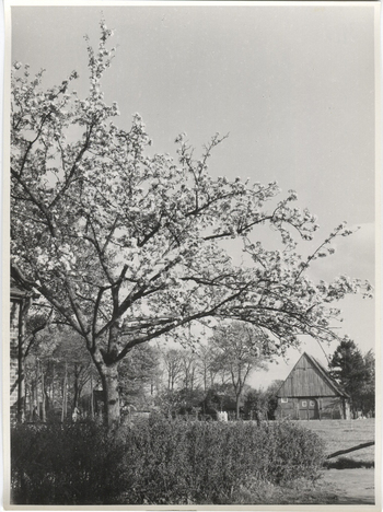 Fotograf: Hickstein, Carmen, Copyright: 1