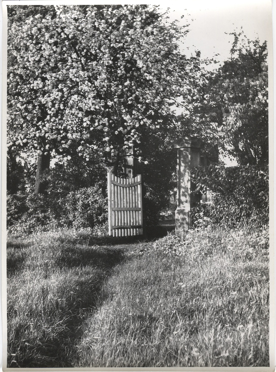 Fotograf: Hickstein, Carmen, Copyright: 1
