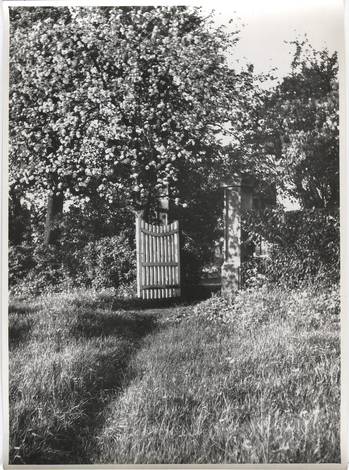 Fotograf: Hickstein, Carmen, Copyright: 1