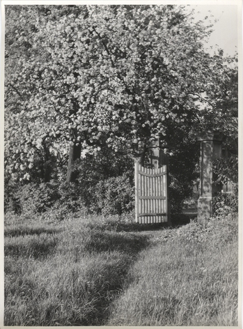 Fotograf: Hickstein, Carmen, Copyright: 1