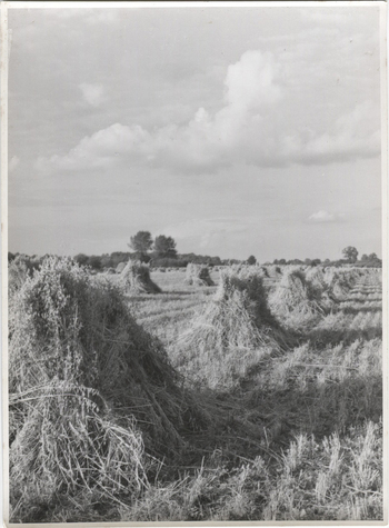 Fotograf: Hickstein, Carmen, Copyright: 1