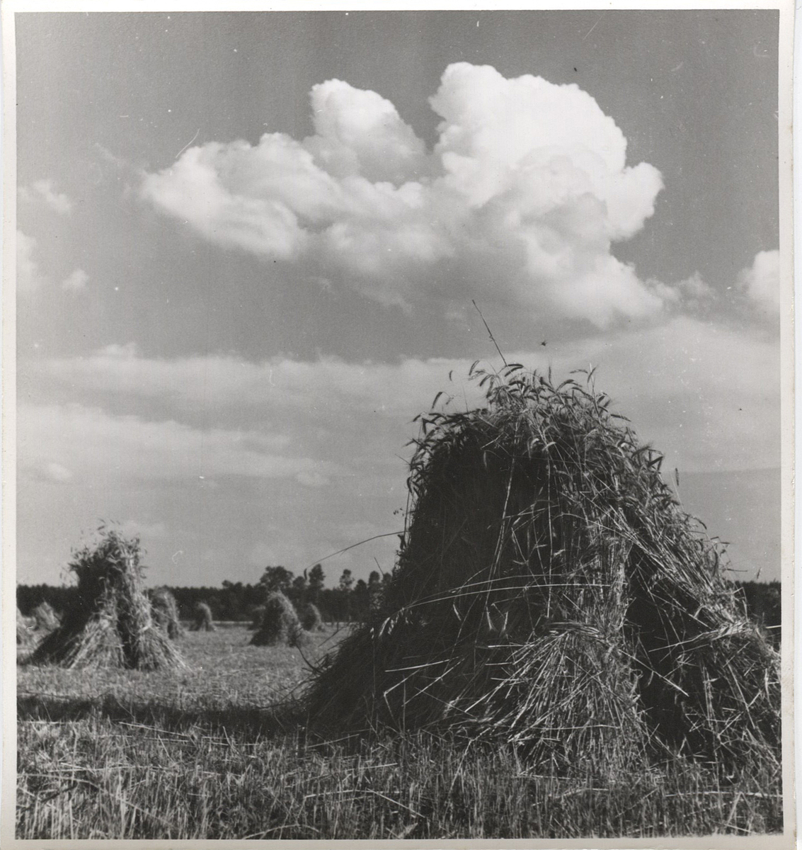 Fotograf: Hickstein, Carmen, Copyright: 1