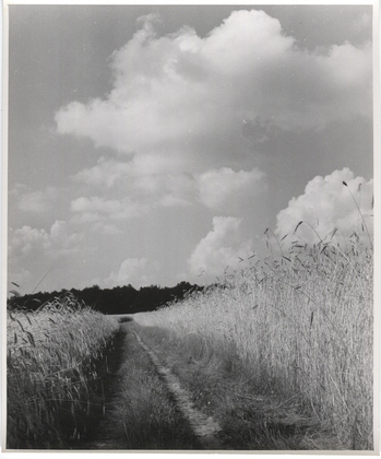 Fotograf: Hickstein, Carmen, Copyright: 1