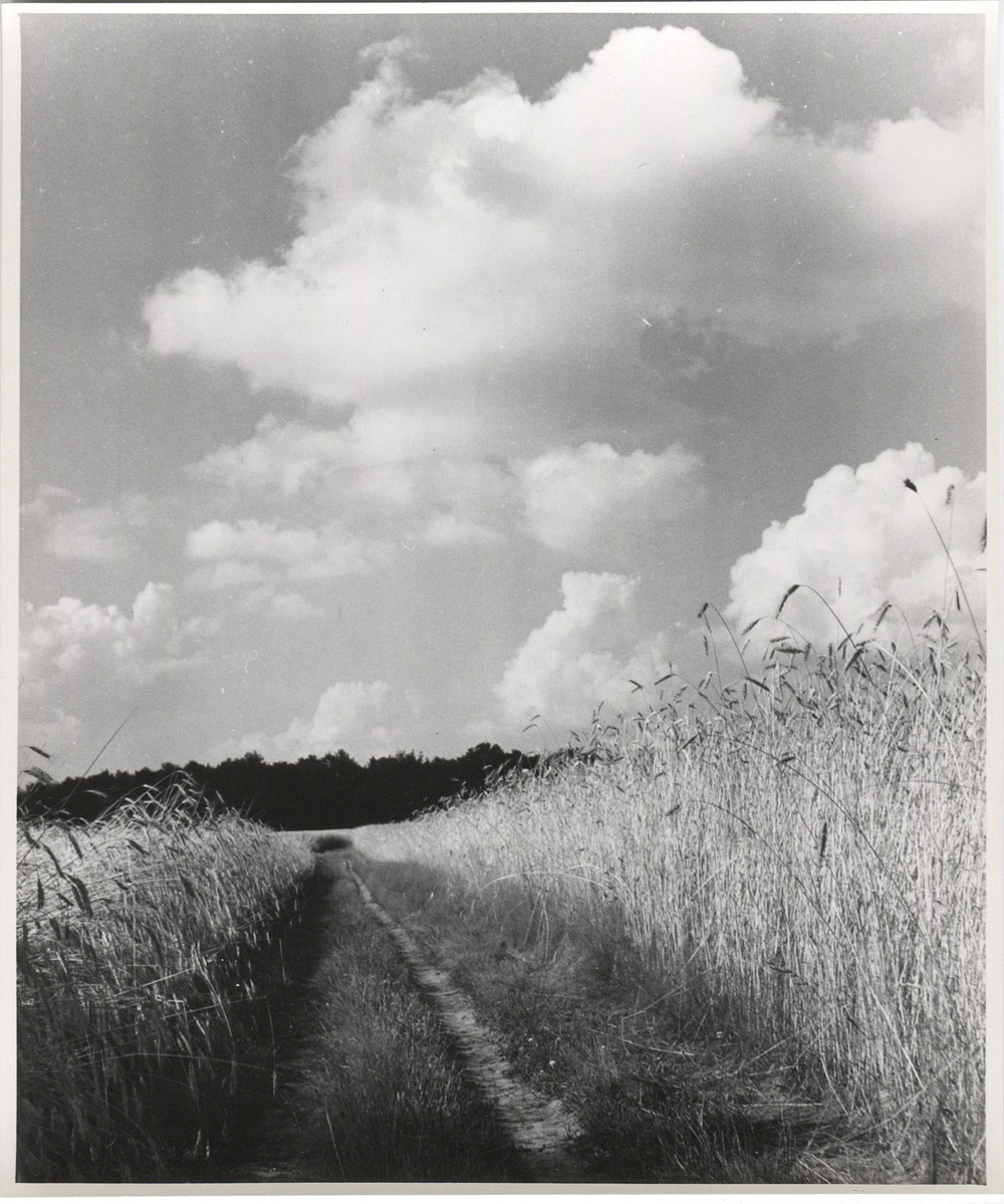 Fotograf: Hickstein, Carmen, Copyright: 1