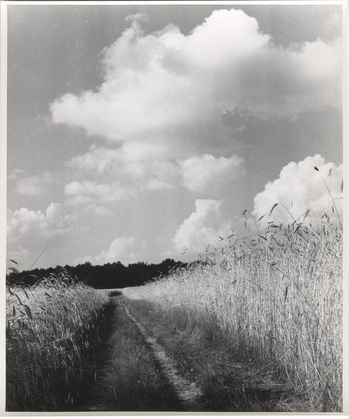 Fotograf: Hickstein, Carmen, Copyright: 1