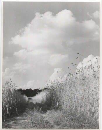 Fotograf: Hickstein, Carmen, Copyright: 1