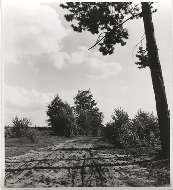 Fotograf: Hickstein, Carmen, Copyright: 1