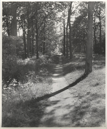 Fotograf: Hickstein, Carmen, Copyright: 1