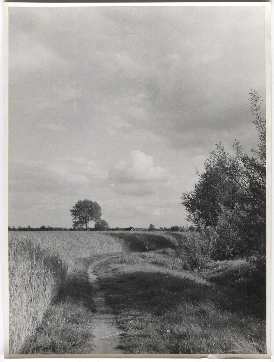 Fotograf: Hickstein, Carmen, Copyright: 1