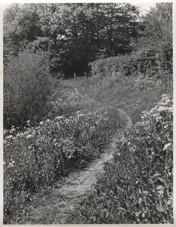 Fotograf: Hickstein, Carmen, Copyright: 1