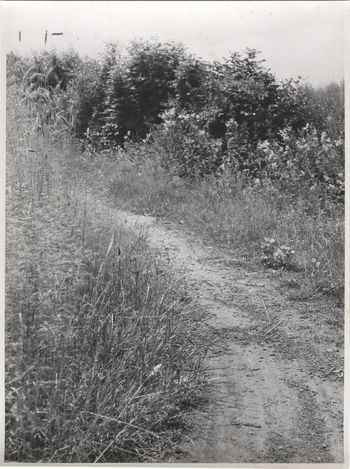 Fotograf: Hickstein, Carmen, Copyright: 1