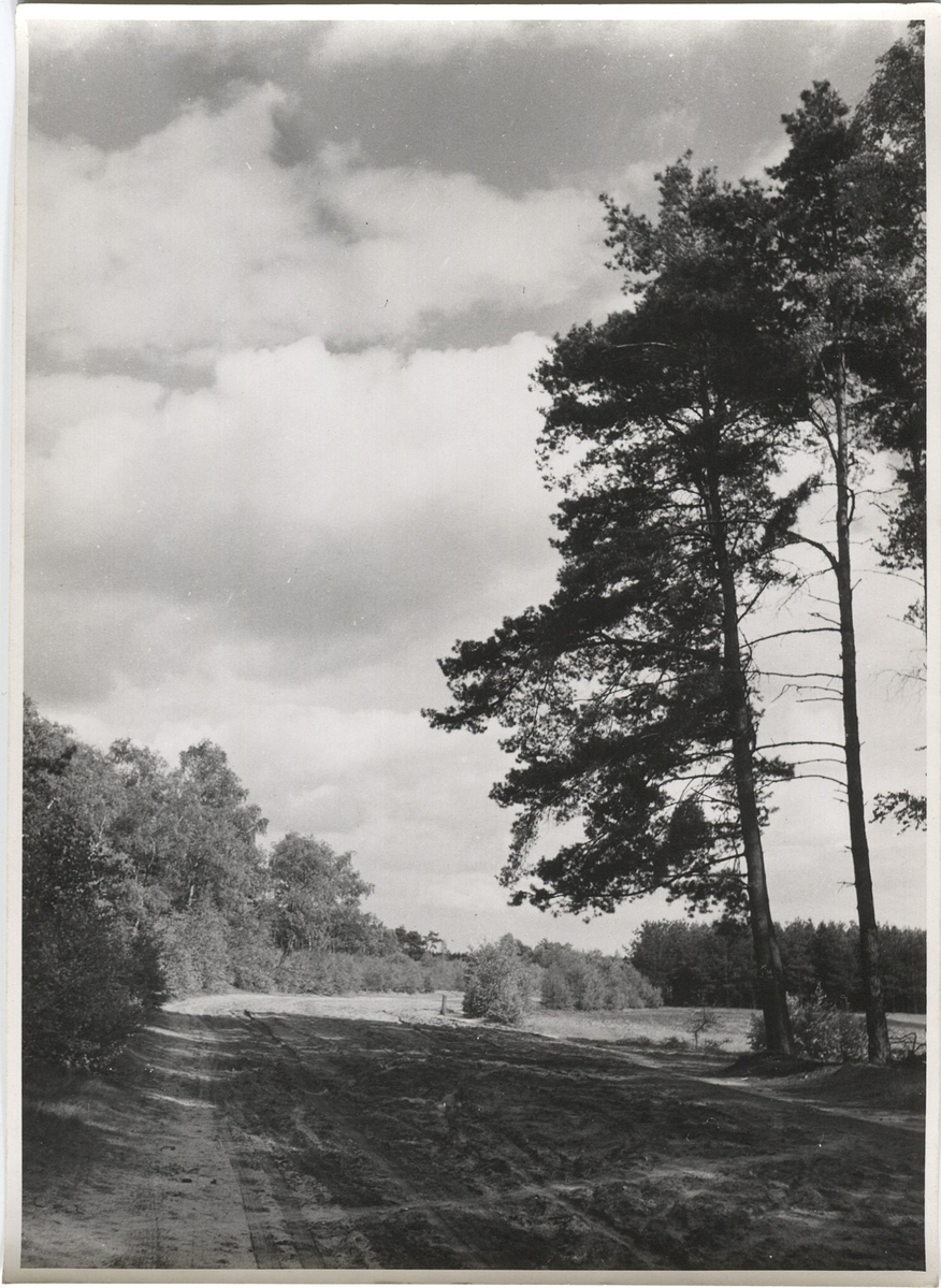 Fotograf: Hickstein, Carmen, Copyright: 1