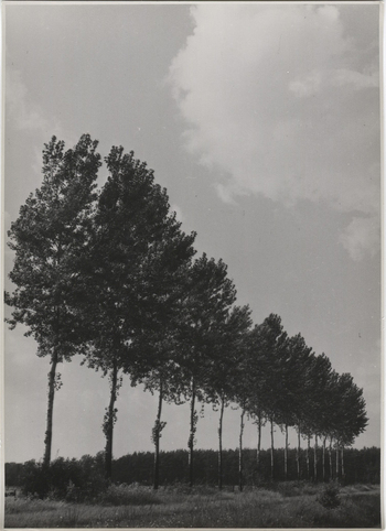 Fotograf: Hickstein, Carmen, Copyright: 1