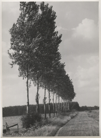 Fotograf: Hickstein, Carmen, Copyright: 1