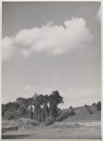 Fotograf: Hickstein, Carmen, Copyright: 1