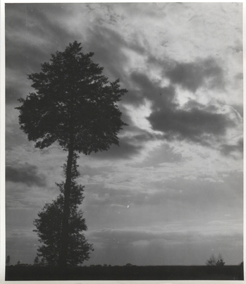 Fotograf: Hickstein, Carmen, Copyright: 1