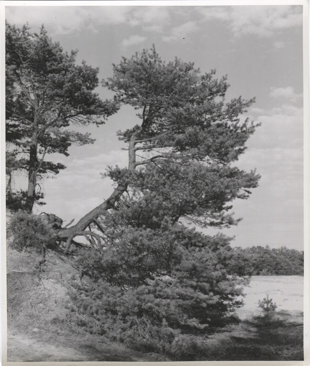 Fotograf: Hickstein, Carmen, Copyright: 1