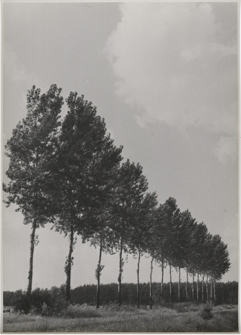 Fotograf: Hickstein, Carmen, Copyright: 1