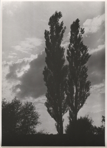 Fotograf: Hickstein, Carmen, Copyright: 1