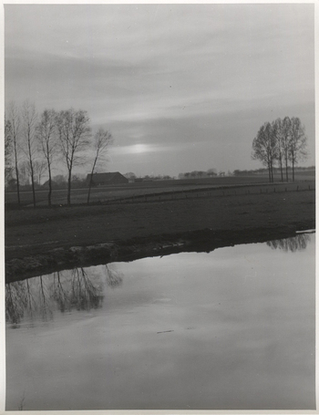 Fotograf: Hickstein, Carmen, Copyright: 1